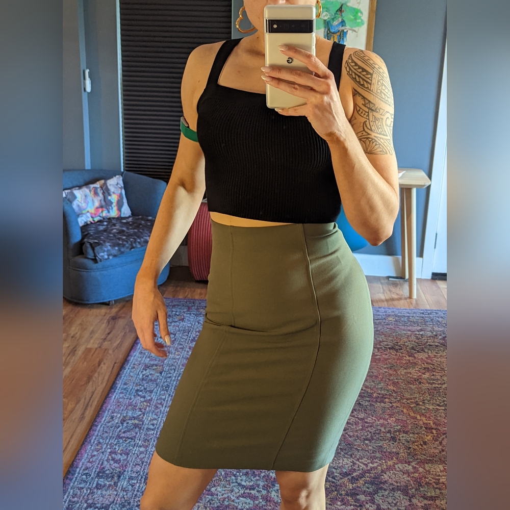 Express High Waisted Pencil Skirt